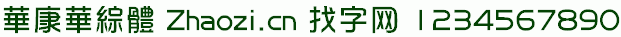 华康华综体