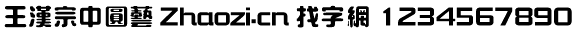 王汉宗中圆艺