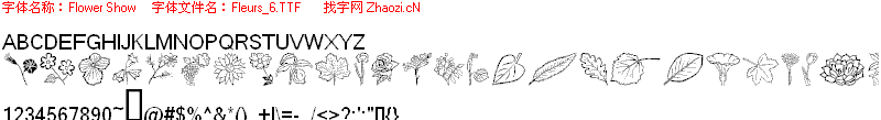 Fleurs_6
